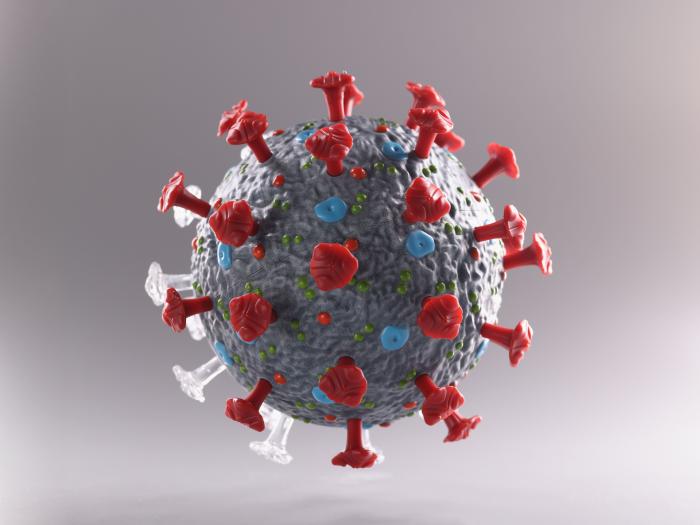 COVID-19 virus