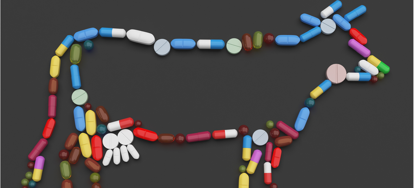 Brightly colored pills shaped into a cow